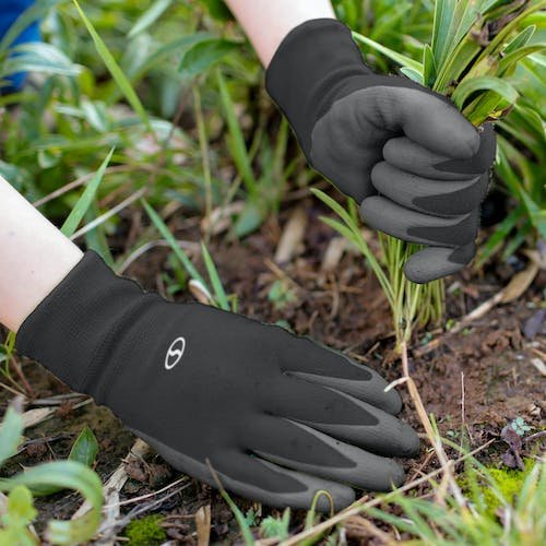 78214b6c30748b4338a1800d8a696ae887d94a64e33d59a882c7721d9ad160b3_bda6c849-22c0-4aff-89b3-32b007a7a357-1.jpg